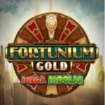 Mega Moolah Fortunium Gold