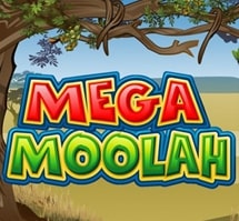 Play Mega Moolah Slot
